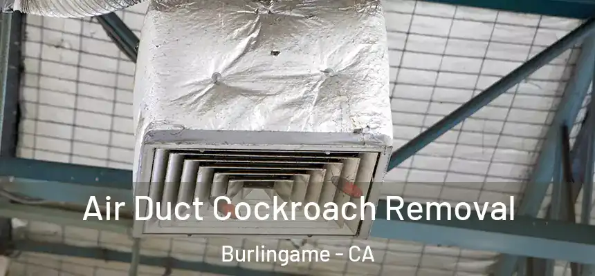  Air Duct Cockroach Removal Burlingame - CA