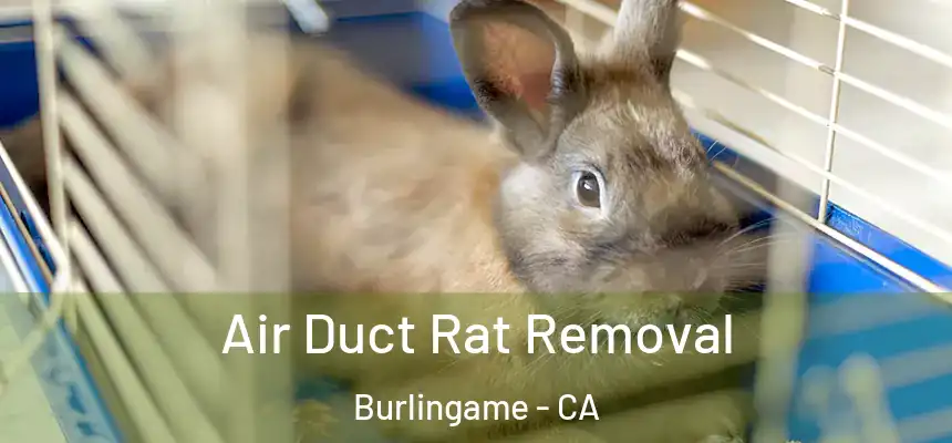 Air Duct Rat Removal Burlingame - CA
