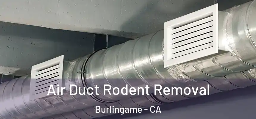  Air Duct Rodent Removal Burlingame - CA