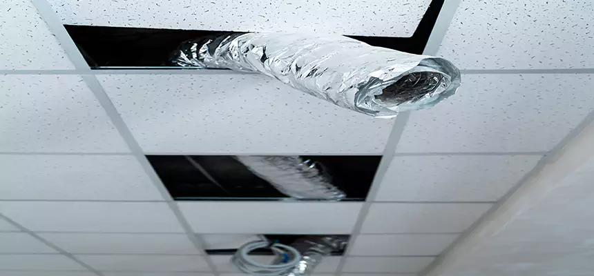 Affordable HVAC Sanitizing After Pest Removal in Burlingame