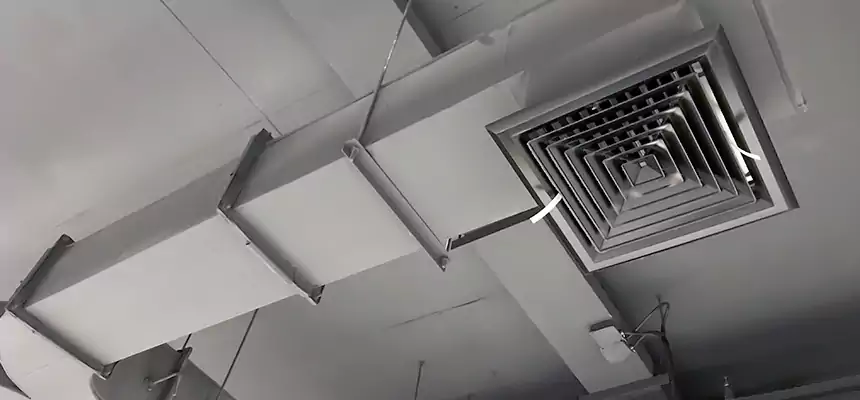 Restorative Allergy Relief Vent Cleaning – Coil, Blower & Housing Detail in Burlingame