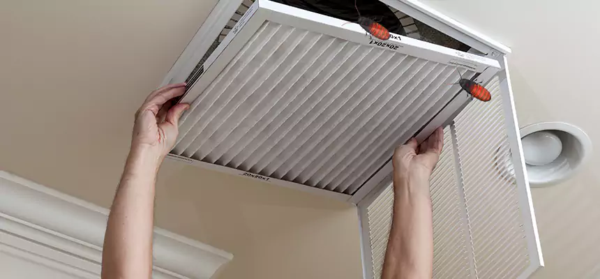 Our Insect Removal from Air Ducts Services in Burlingame, CA
