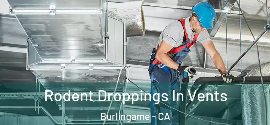  Rodent Droppings In Vents Burlingame - CA