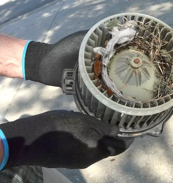 About Air Duct Mice Removal in Burlingame, CA