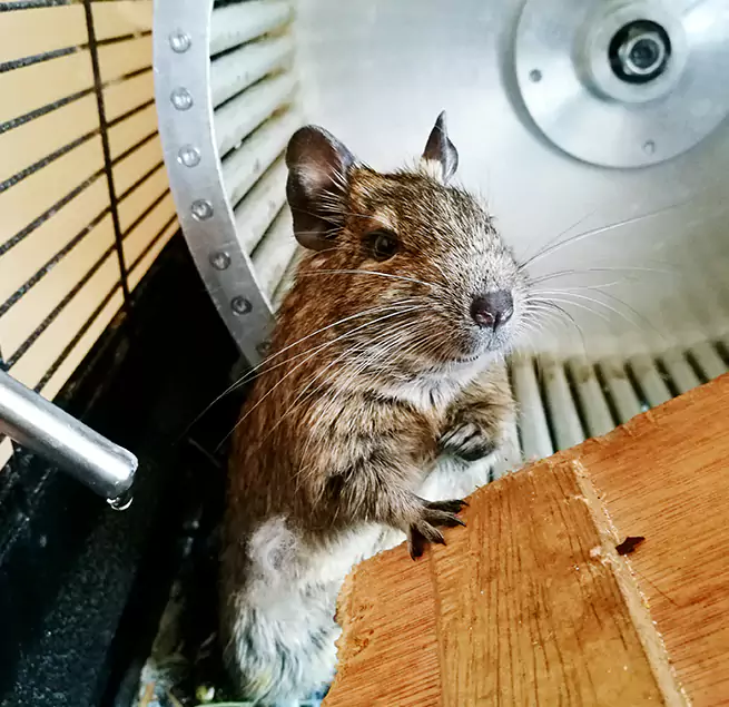 Why Homeowners & Businesses Trust Us Burlingame, CA?